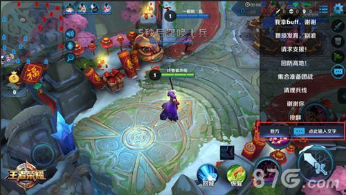 王者荣耀爆料君最新,新英雄登场，神秘皮肤曝光，版本更新亮点抢先看！