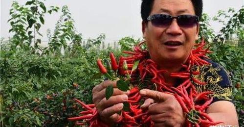 中国辣王被爆料视频大全,揭秘中国辣王被爆料视频大全  第2张