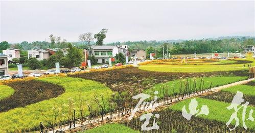 璧山爆料最新新闻,聚焦民生热点,揭秘事件真相 第2张 璧山爆料最新新闻,聚焦民生热点,揭秘事件真相 第2张